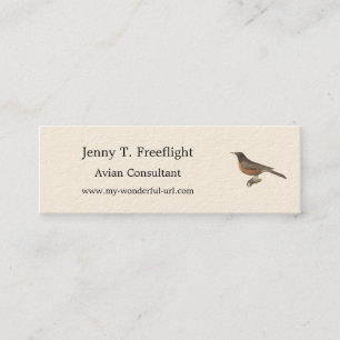 The American Robin (Turdus migratorius) NY Birds Mini Business Card