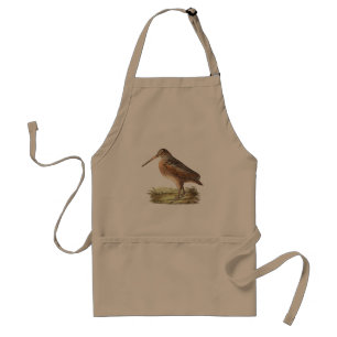 The American Woodcock	(Rusticola minor) Standard Apron