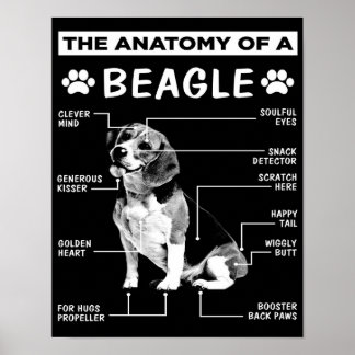 The Anatomy | Beagle Dog | Funny dog Poster