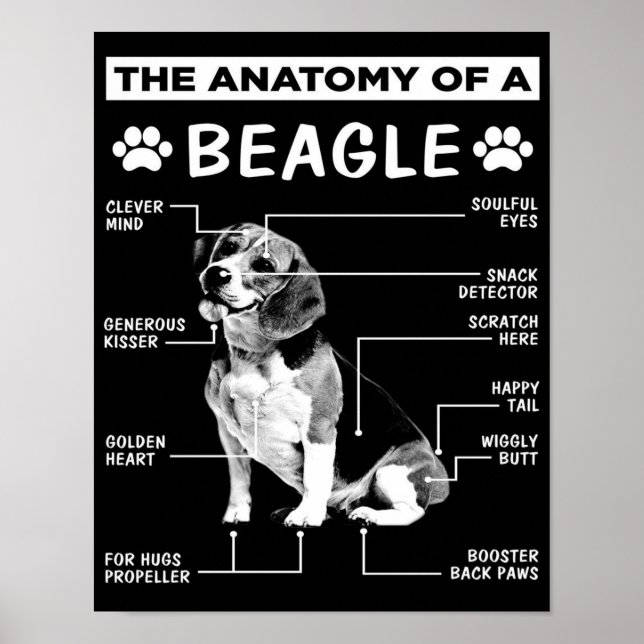 The Anatomy | Beagle Dog | Funny dog Poster (Front)