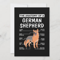 The Anatomy Of A German Shepherd