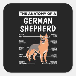 The Anatomy Of A German Shepherd Square Sticker