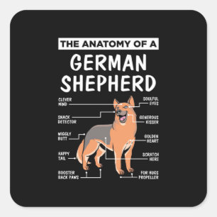 The Anatomy Of A German Shepherd Square Sticker