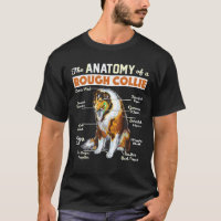 The Anatomy Of A Rough Collie