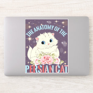 The Anatomy Of The Persian Cat