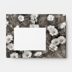 The Ancient of Daisies Envelope