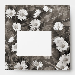 The Ancient of Daisies Envelopes