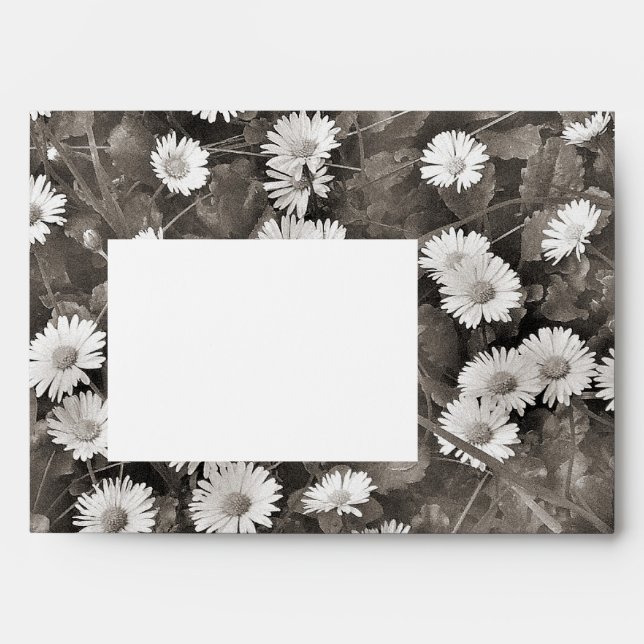 The Ancient of Daisies Envelopes (Front)