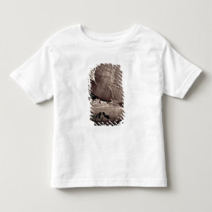 The Ancient Ruins of the Canyon de Chelle, 1873 (a Toddler T-Shirt