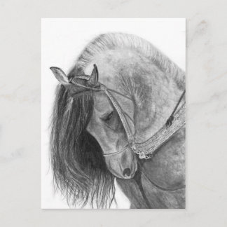 The Andalusian Postcard