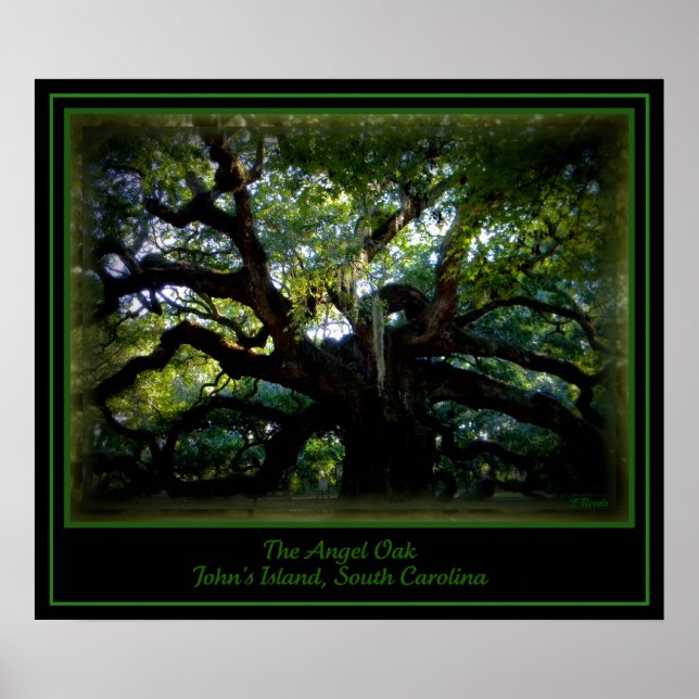 The Angel Oak Poster (Front)
