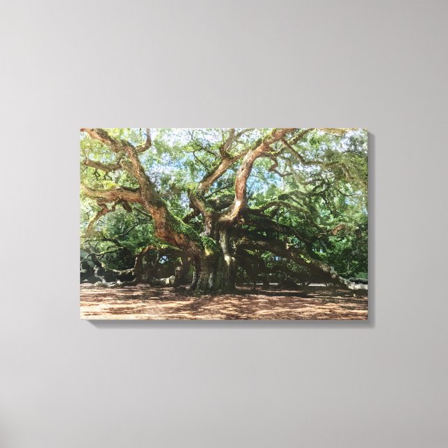 The Angel Oak Watercolor Canvas Print (Front)