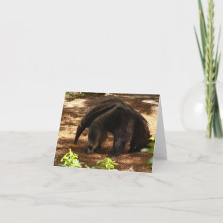 The Anteater Card