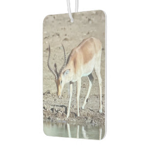 The antelope, car air freshener