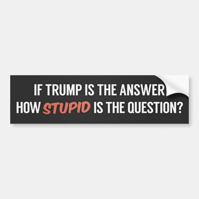 The Anti-Trump 2020 Bumper Sticker (Front)