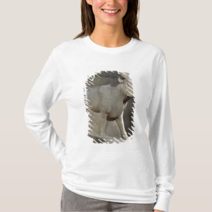 The Apis Bull, from the Serapeum, Memphis T-Shirt