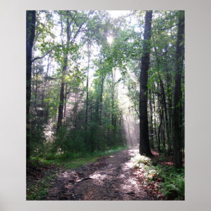 The Appalachian Trail, PA Poster