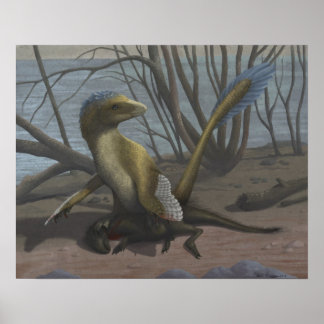 The Aptian Riverbank Print