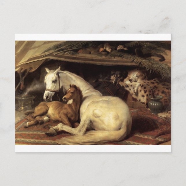 The Arab Tent by Edwin Henry Landseer Postcard (Front)