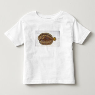 The Argus Flounder (Pleuronectes Argus) plate XLVI Toddler T-Shirt