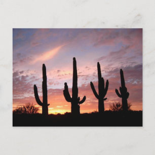 "The Arizona Show" Postcard