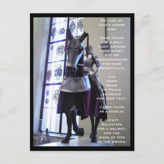 The Armour Of God (horse) Postcard (Front)