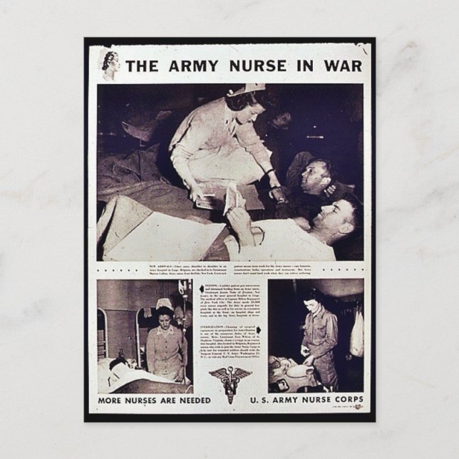 The Army Nurse In War Postcard (Front)