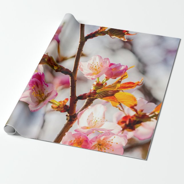 The Art Of Cherry Blossoming On A Sunny Day Wrapping Paper (Unrolled)
