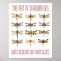 The Art Of Dragonflies