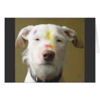 The Artistic Dog