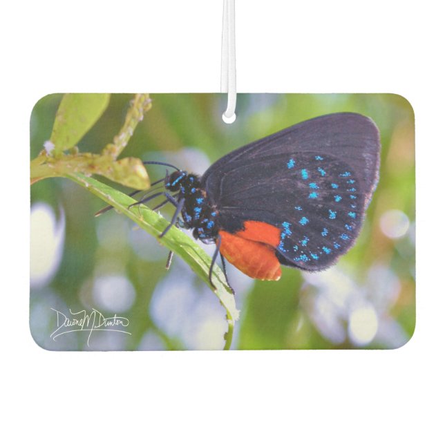 The Atala Car Air Freshener (Front)