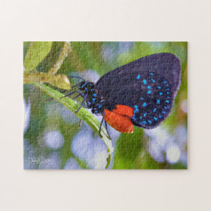 The Atala Jigsaw Puzzle