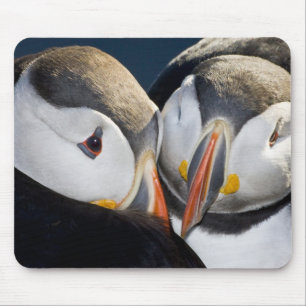 The Atlantic Puffin, a pelagic seabird Mouse Pad