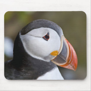 The Atlantic Puffin, a pelagic seabird Mouse Pad