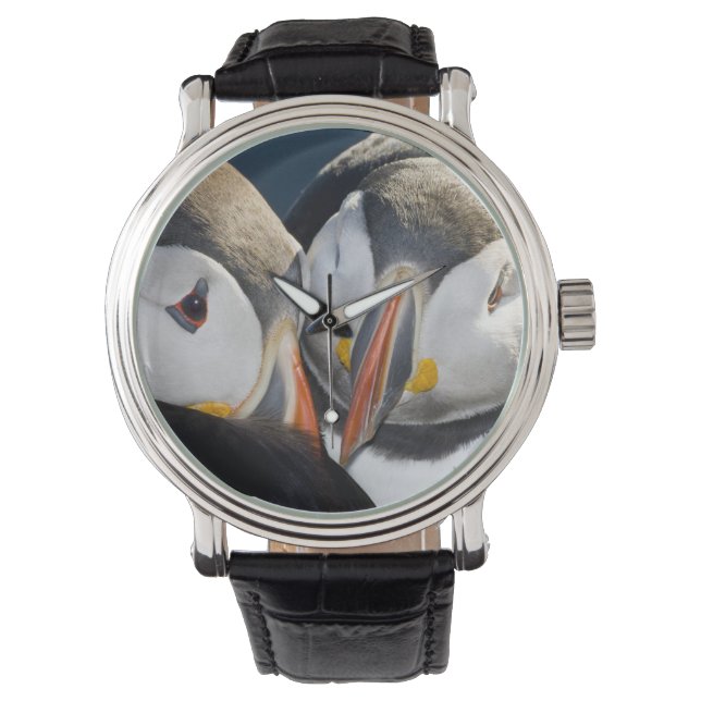 The Atlantic Puffin, a pelagic seabird Watch (Front)