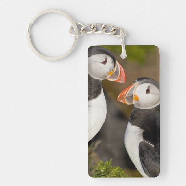 The Atlantic Puffin Key Ring (Front)