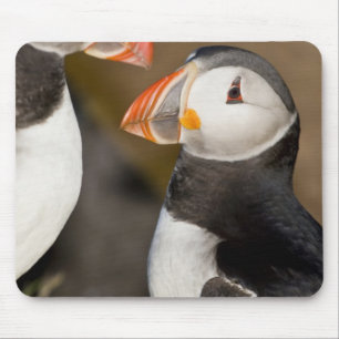 The Atlantic Puffin Mouse Pad