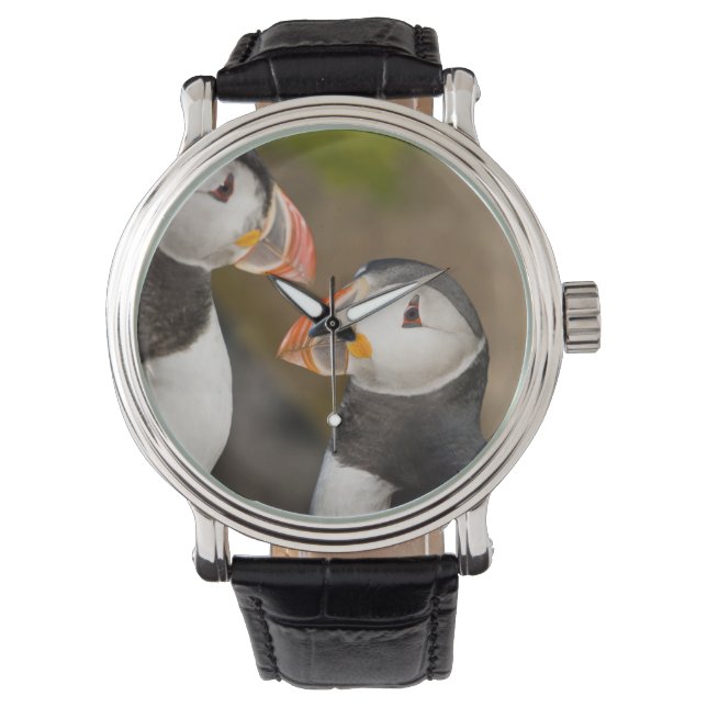 The Atlantic Puffin Watch (Front)