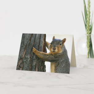 "the attentive squirrel" blank greeting card