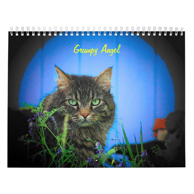 The Attitude of Grumpy Angel 16 Month Calendar (Cover)