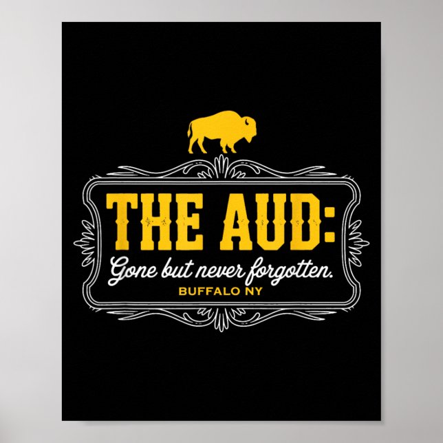 The AUD Poster (Front)