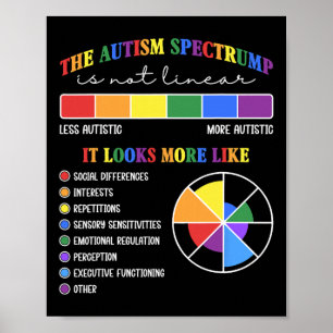 The Autism Spectrum Is Not Linear Poster