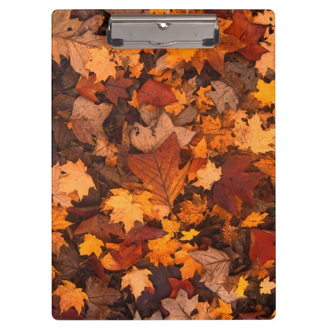 the autumn clipboard (Front)