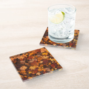 the autumn glass coaster