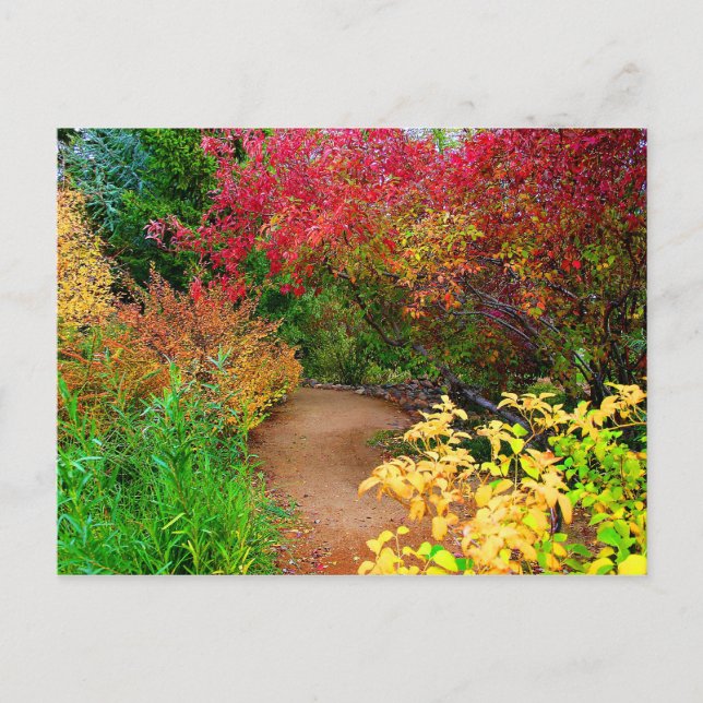 The Autumn Path Postcard (Front)
