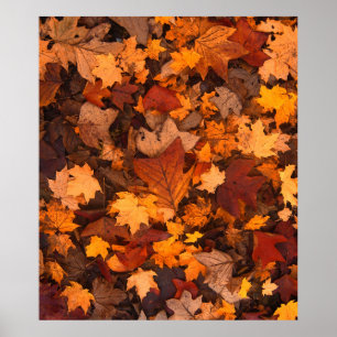 the autumn poster