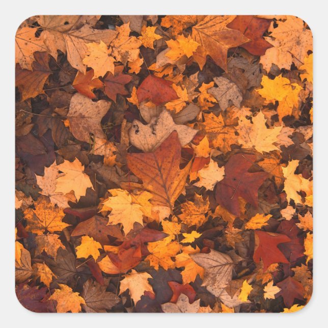 the autumn square sticker (Front)