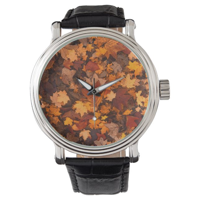 the autumn watch (Front)