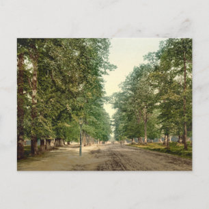 The Avenue, Southampton, Hampshire, England Postcard