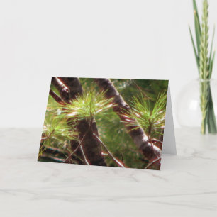 The Awakened Forest Card